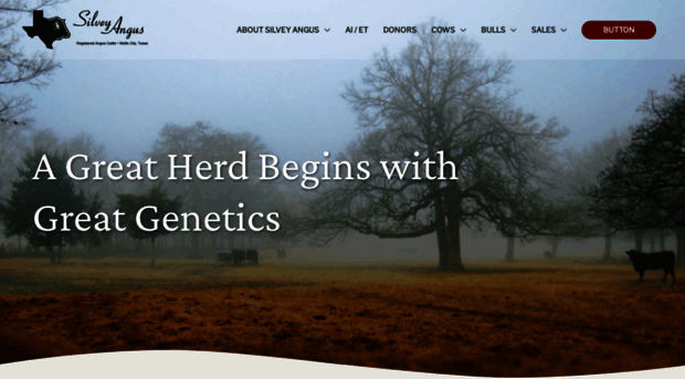 staging.silveyangus.com