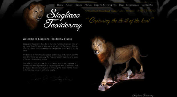 staglianotaxidermy.com