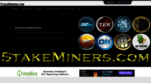 stakeminers.com