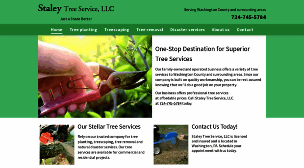 staleytreeexpert.com