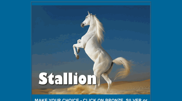 stallionpromo.info