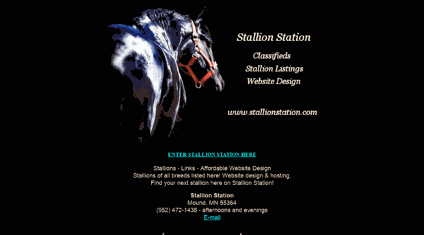 stallionstation.com