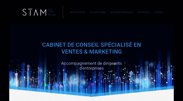 stam-consulting.eu