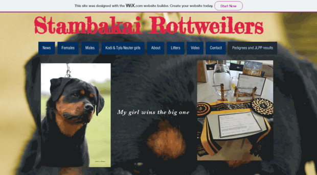 stambakairottweilers.com