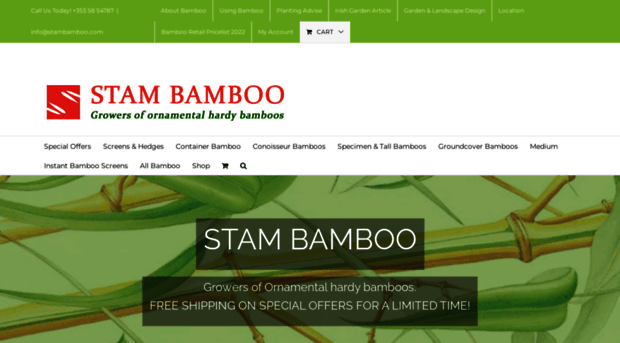 stambamboo.com