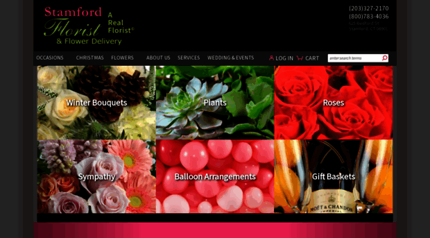 stamfordflorist.com