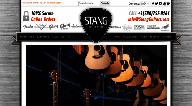 stangguitars.com