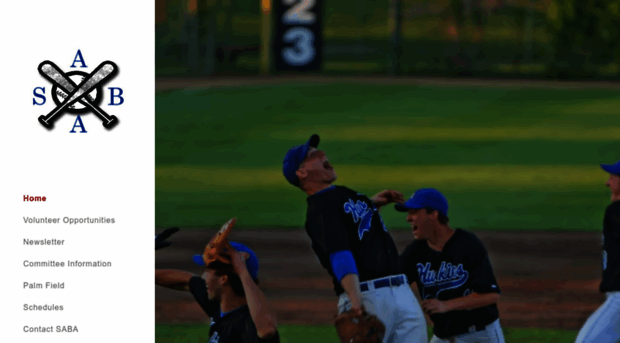 stanthonybaseball.org