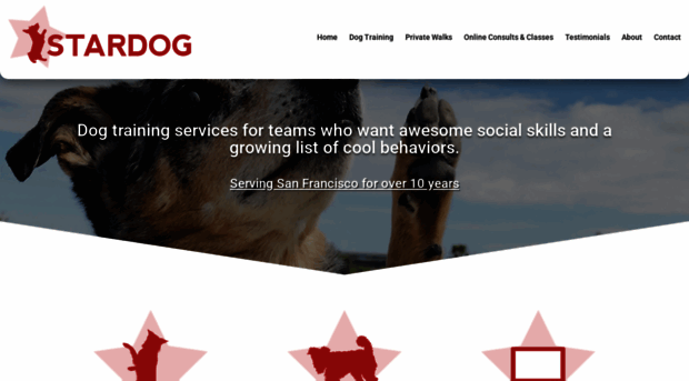 stardogsf.com