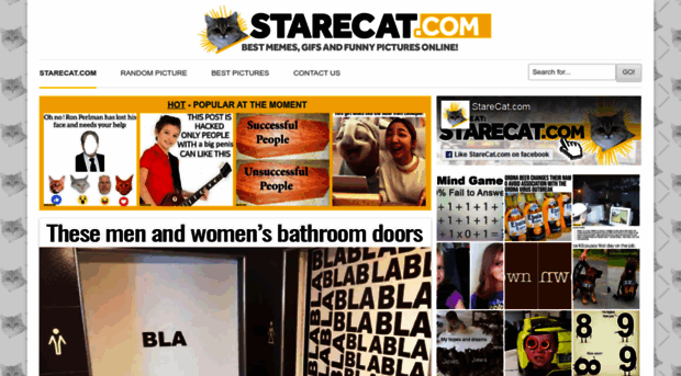 starecat.com