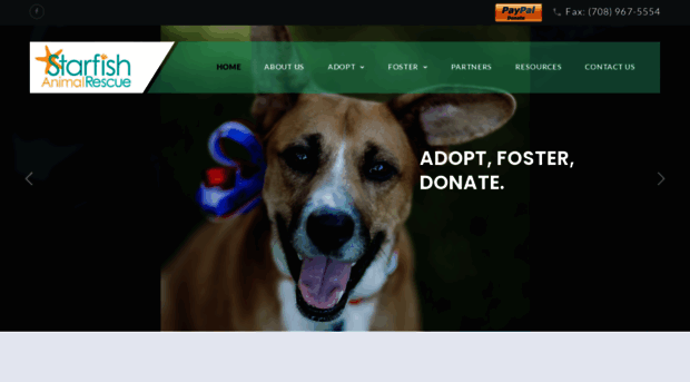 starfishanimalrescue.com