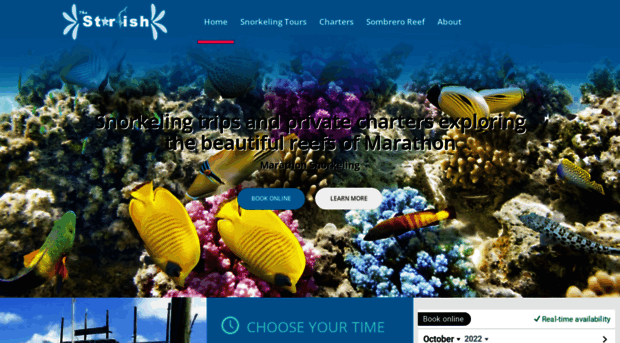 starfishsnorkeling.com