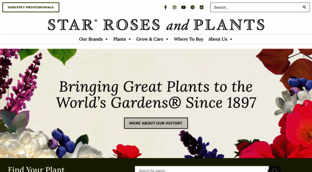 starrosesandplants.com