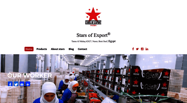 starsofexport.com