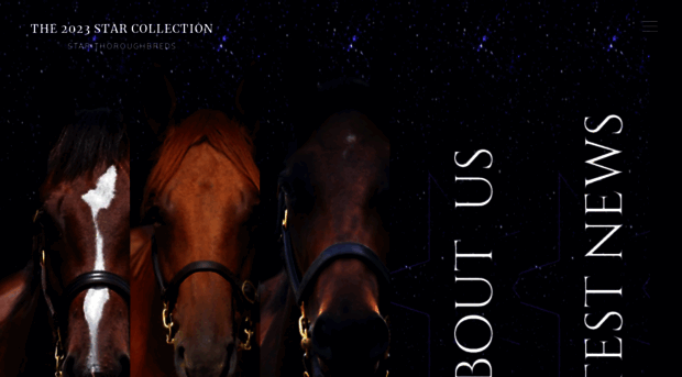 starthoroughbreds.com.au