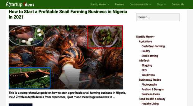 startup.com.ng