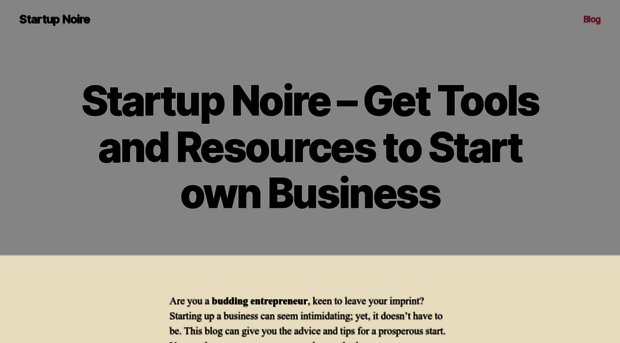 startupnoire.com