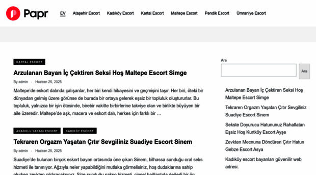 startupoperations.com