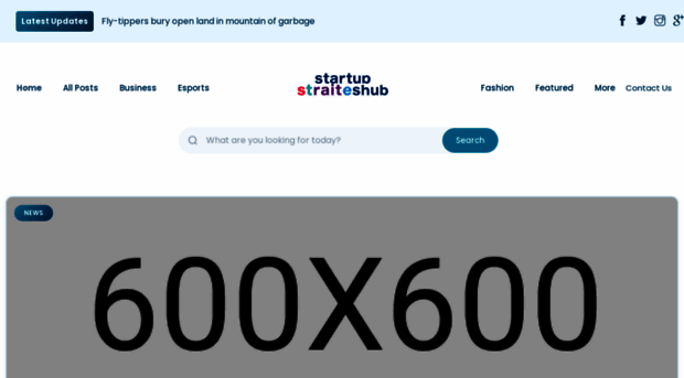 startupstrategieshub.co.uk