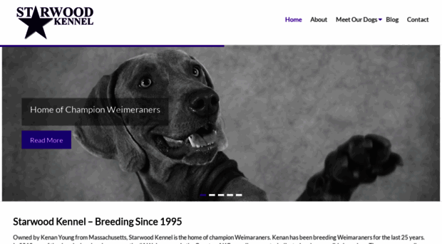 starwoodkennel.com