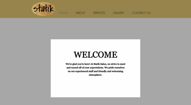 statiksalonauburn.com