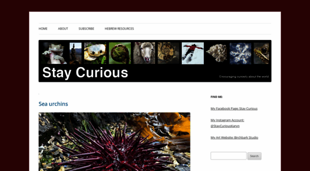 stay-curious.com