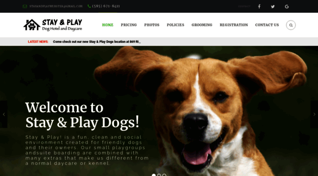 stayandplaydogs.com