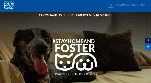 stayhomeandfoster.org