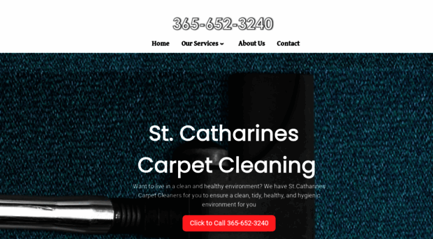 stcatharinescarpetcleaning.com