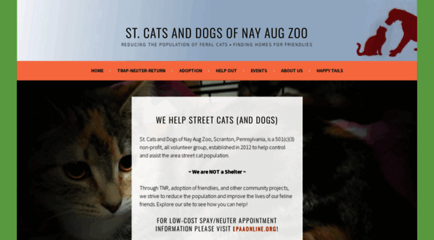 stcatsdogs.org