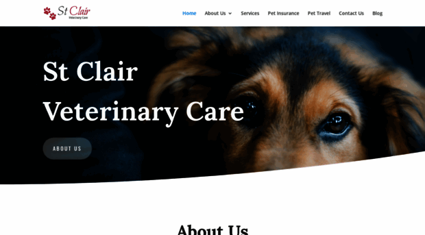 stclairvetcare.com