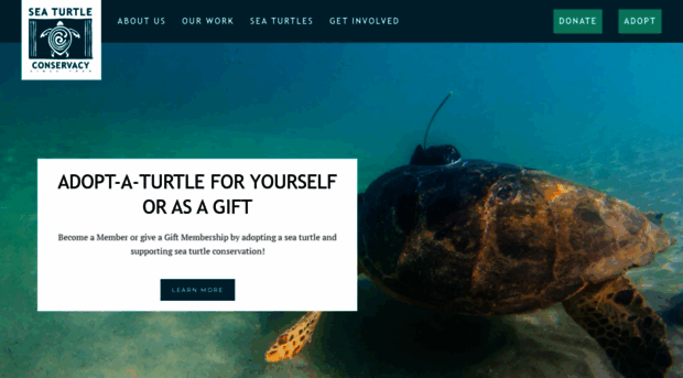 stcturtle.com