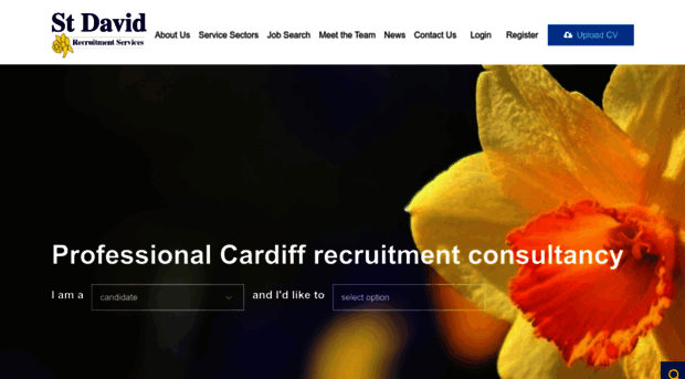 stdavid-recruitment.co.uk