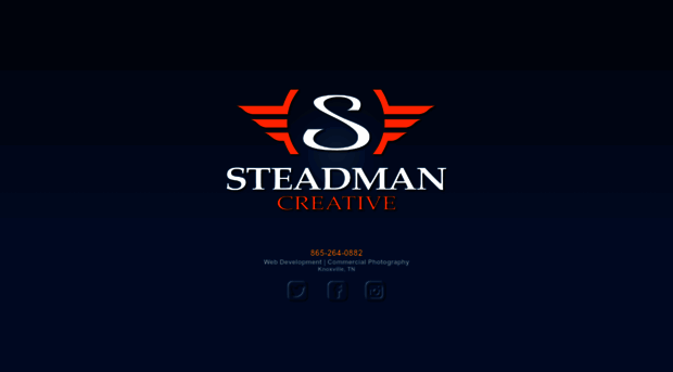 steadmantech.com