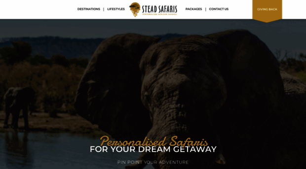 steadsafaris.com