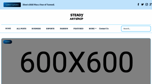steadyartshop.nl