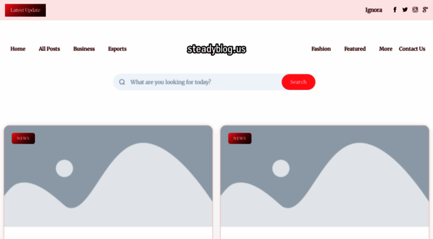steadyblog.us