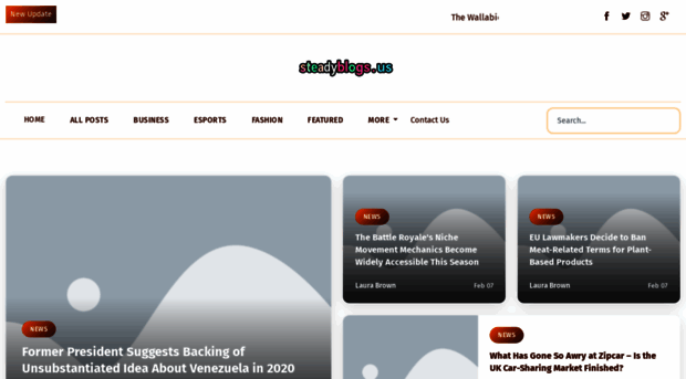steadyblogs.us