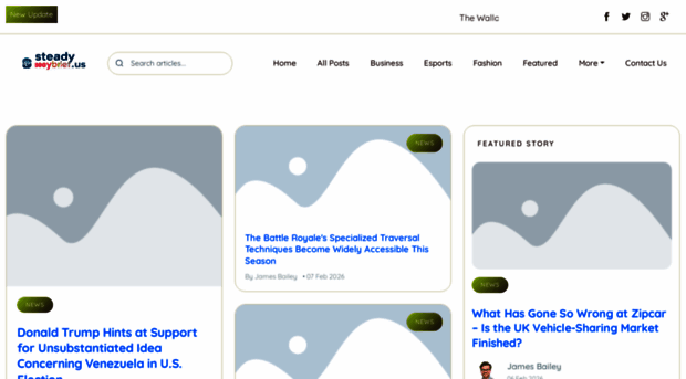 steadybrief.us