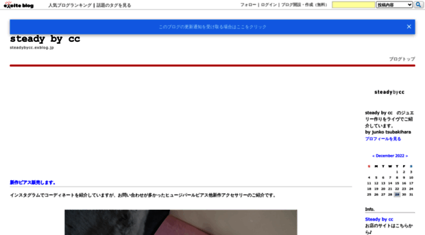 steadybycc.exblog.jp
