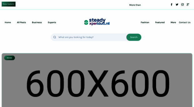 steadyexpertdutch.nl