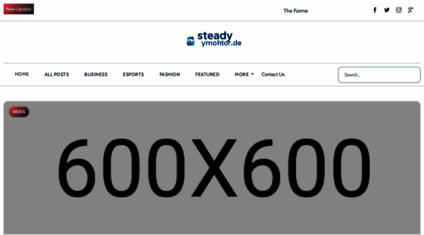 steadymonitor.de