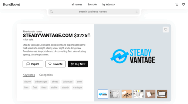 steadyvantage.com