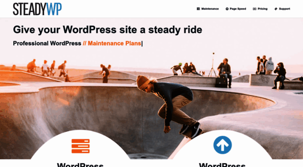 steadywp.com