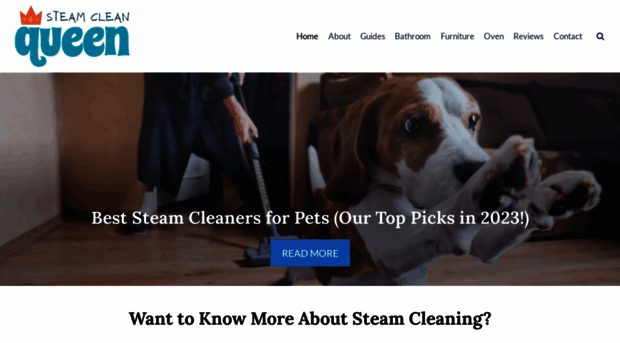 steamcleanerhelp.com