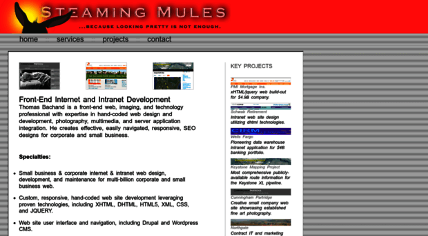 steamingmules.com