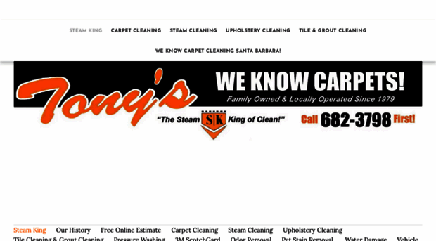 steamkingclean.com