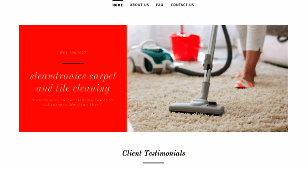 steamtronicscarpetcleaning.com