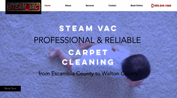 steamvac.biz