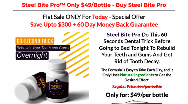 steel-bitepro.com